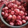 Fresh Onion Exporter f...