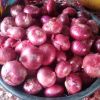 Fresh Onion Exporter f...