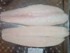 FROZEN PANGASIUS BASA ...