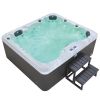 Monalisa New Design Fountain 5 Seatings Outdoor SPA Jacuzzi M-3505