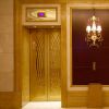 China manufacturing stainless steel etched elevator decorative door
