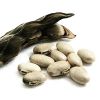 Mucuna Pruriens Seeds/Powder (Velvet Beans) 