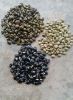 Mucuna Pruriens Seeds/Powder (Velvet Beans) 