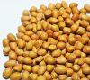 Sudan Raw Peanut Kernel (Groundnut Kernel) 