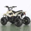 Cheap 4 Wheeler 110cc Mini Motorcycle ATV For Kids