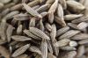 Cumin