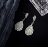 Fashion Earring-21