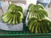Bananas from Ecuador