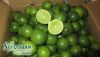 Seedless Lime Vietnam