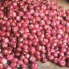 red onion