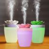 Mini USB Air Humidifier