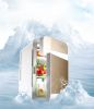 20L Car Home Refrigerator Mini Fridge AC220V/DC12V Warmer Multi-function Travel Refrigerator Portable Electric Icebox F-L20SA