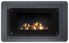 Gas Fired Convector He...