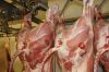beef meat 