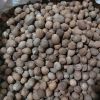 Nutmeg
