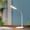 Simple fashion Led Desk Lamp Flexible Table Lamp