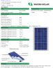 Polycrystalline 100W Solar Panel