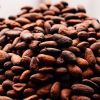 hight quality cocoa Beans