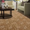 wall to wall carpet , hotel home commercial carpet