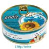 canned tuna in vegetable oil 160g/105g