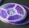 LED Flexible Strips