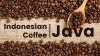 Coffee Bean Robusta Javanese from Indonesia