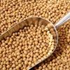 HIGH PROTEIN QUALITY SOYBEAN MEAL FOR SALE