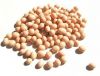 HIGH PROTEIN QUALITY SOYBEAN MEAL FOR SALE