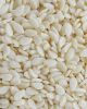 Sesame Seed