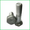 China A325 Heavy Hex Bolt with Black - China Hex Bolt, Screw