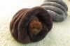 Private label PP cotton soft cat hut bed