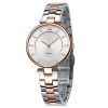 New Fashion Luxury Two-tone Stainless Steel Band  5 ATM Water Resistant Wrist Watch for Lady with Sapphire Glass
