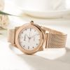 Custom Metal Craft Stainless Steel Rose Gold Plated Wrist Watch for Men 