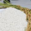 Vietnam Grain White Rice 