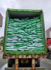 detergent powder