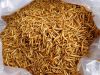 High nutritious microwave dried mealworms