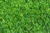 Artificial grass/Synth...
