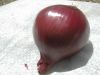Fresh Red Onion (new c...