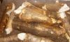 Raw Cassava