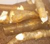 Raw Cassava