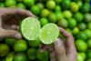Fresh Seedless Lime (Lemon) 100% Vietnam Origin