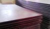 Vietnam high quality Film Faced Plywood