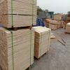 LVL plywood for scaffold planks