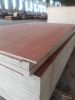 Plywood furniture grade with 100% eucalyptus core 