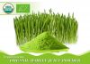 Organic Barley Grass J...