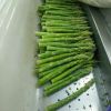 IQF/FROZEN GREEN ASPARAGUS