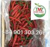 FRESH/ FROZEN CHILLI