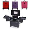 Professional Purple Beauty 4 Wheels Rolling Makeup Artist Cosmetic Train Cases with Mirror 