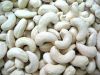 cashew nut and karnel