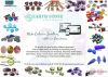 Natural Loose Gemstones and Beads | Earth Stone Inc